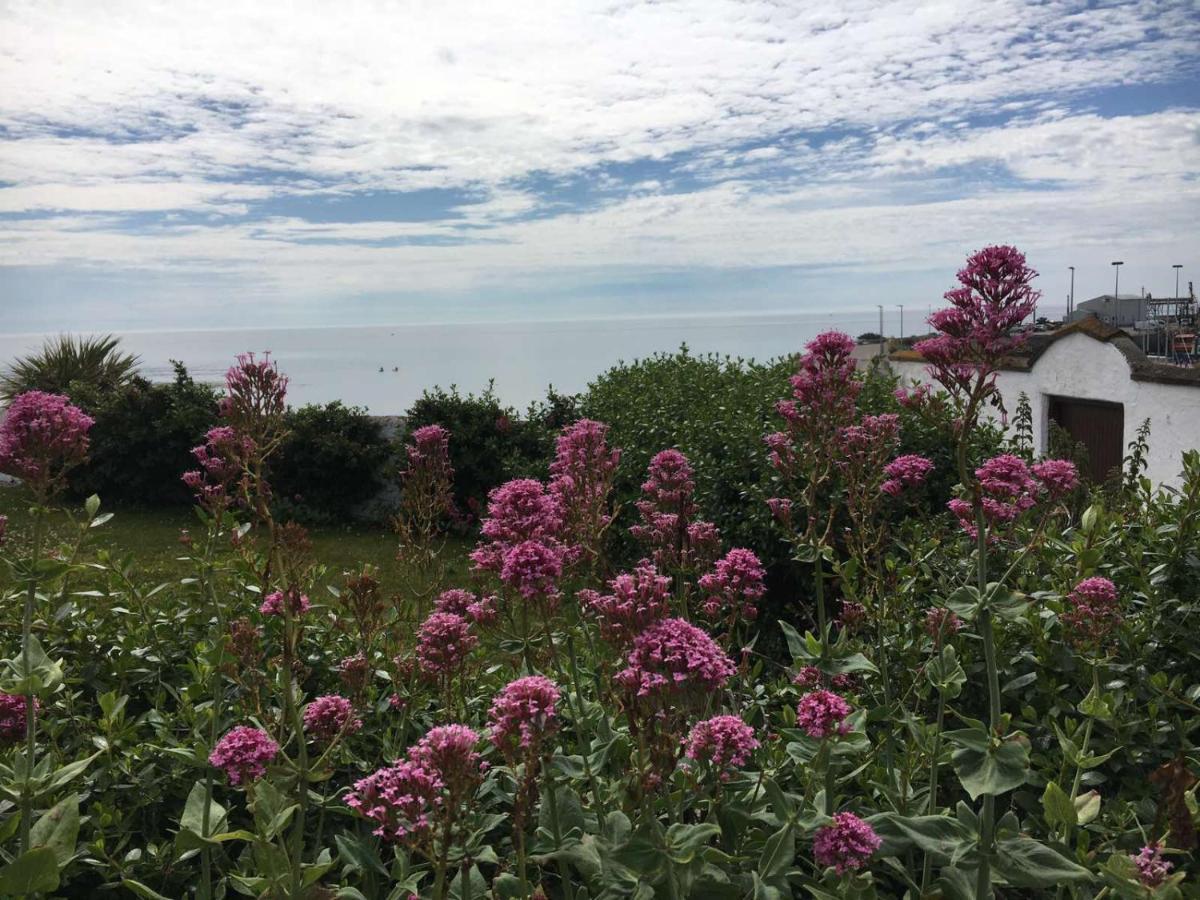 The Wooden House Hotell Kilmore Quay Eksteriør bilde