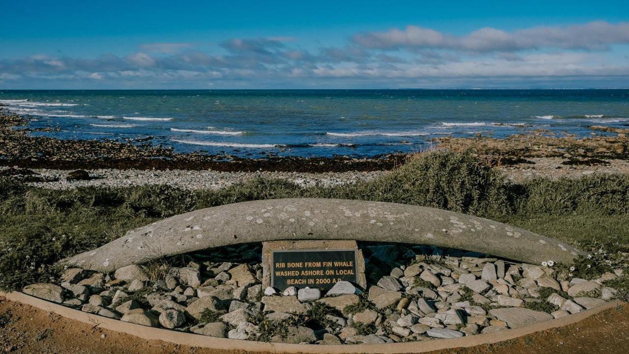 The Wooden House Hotell Kilmore Quay Eksteriør bilde